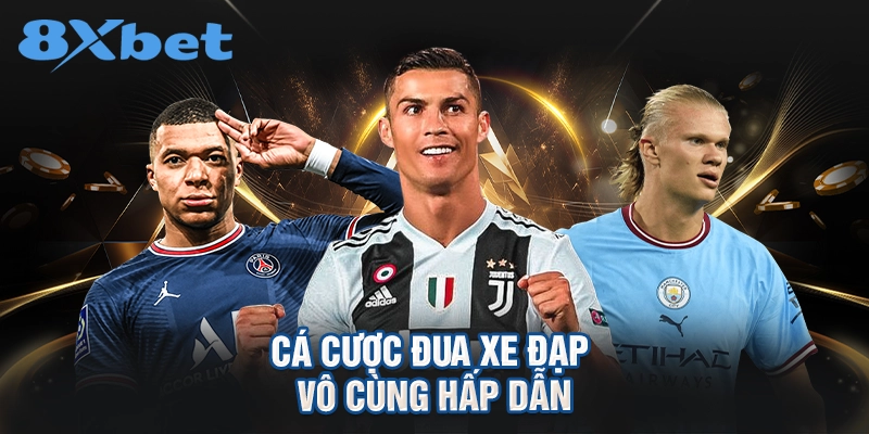 Cá cược đua xe đạp vô cùng hấp dẫn