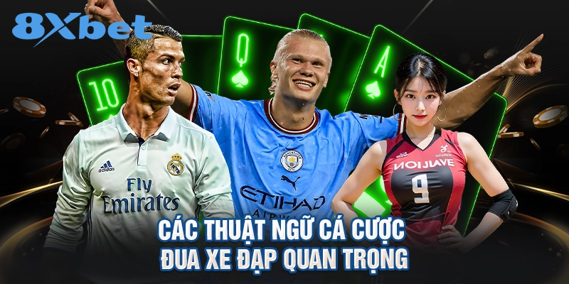 Các thuật ngữ cá cược đua xe đạp quan trọng