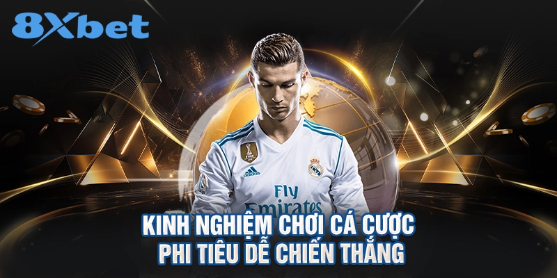 Kinh nghiệm chơi cá cược phi tiêu dễ chiến thắng